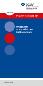 DGUV Information 205-029