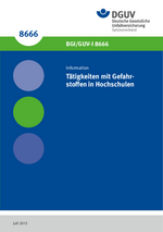 DGUV Information 213-039