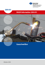 DGUV information 209-011