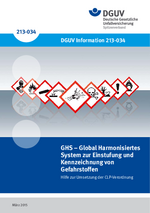 DGUV Information 213-034